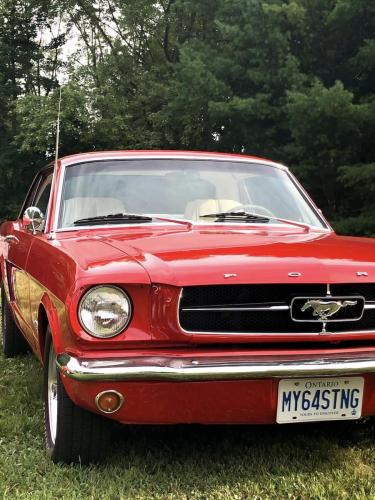 Feature Car - 2024-08-15 - 1964 1/2 Ford Mustang - Gail Sharpe