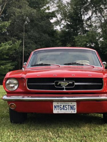 Feature Car - 2024-08-15 - 1964 1/2 Ford Mustang - Gail Sharpe