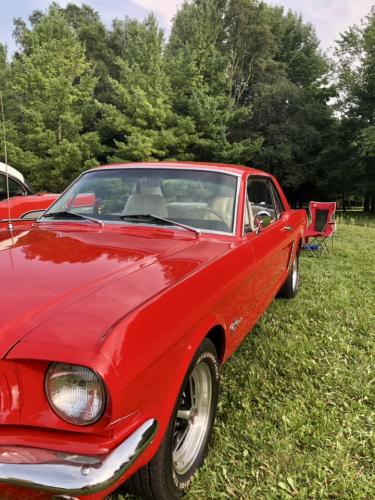 Feature Car - 2024-08-15 - 1964 1/2 Ford Mustang - Gail Sharpe