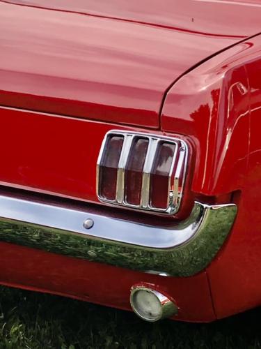 Feature Car - 2024-08-15 - 1964 1/2 Ford Mustang - Gail Sharpe